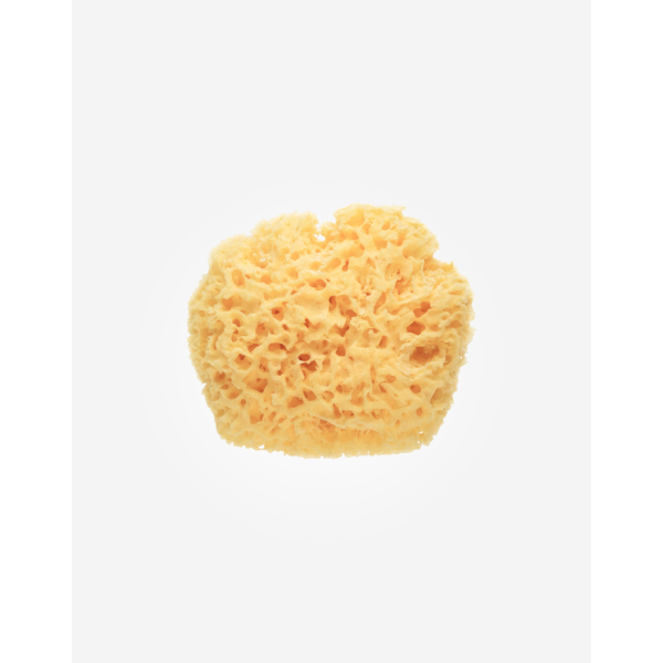 Natural Sponge Saro