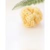 Natural Sponge Saro