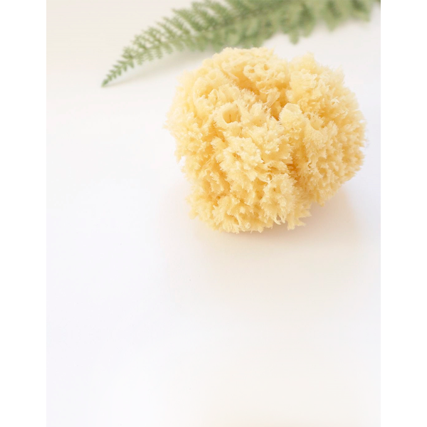 Natural Sponge Saro