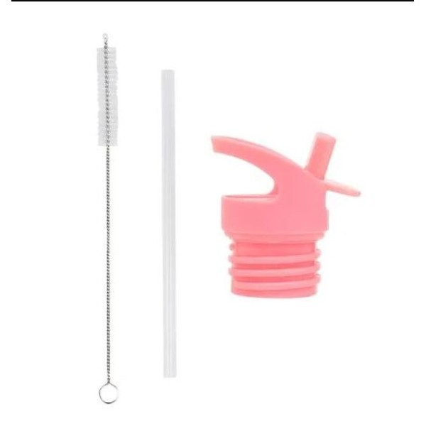 Lid, straw & brush set: Ice-cream