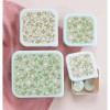 Lunch & Snack box Blossoms Sage - Set of 4