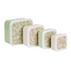 Lunch & Snack box Blossoms Sage - Set of 4