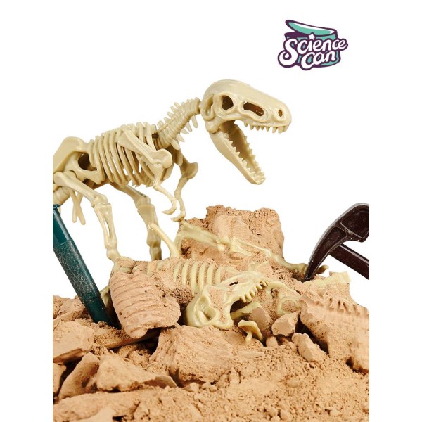 Tyranno Saurus-Rex - Dinosaur Fossil Dig Kit